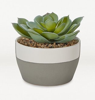 Artificial succulent in grey stoneware planter.