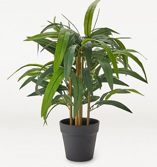 Wide leaf artificial bamboo tree plant in black pot.