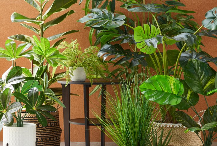 Asda artificial outlet plants