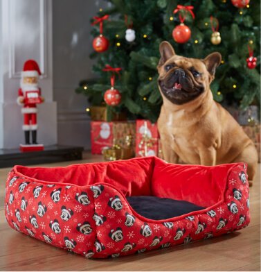 A dog sitting next to a red Mickey Mouse dog bed