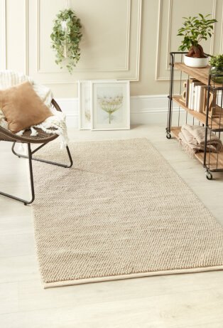 Room with chair, rug and shelving. 