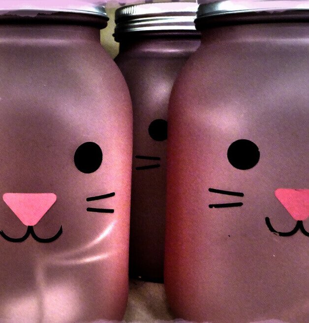 Tumbler jars with animal face graphic.