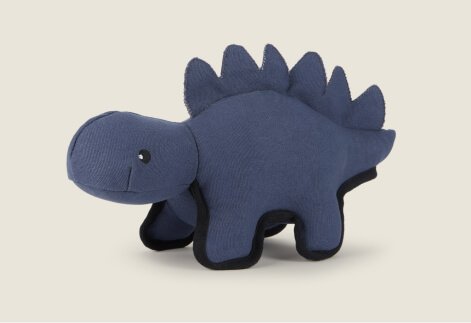 Blue Pet Dinosaur Toy