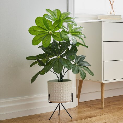 A faux plant in a cream textured planter