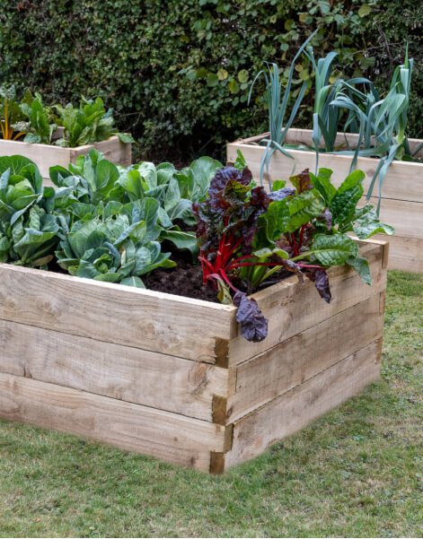 Forest Garden Caledonian Square Raised Bed ninety by ninety centimetres.